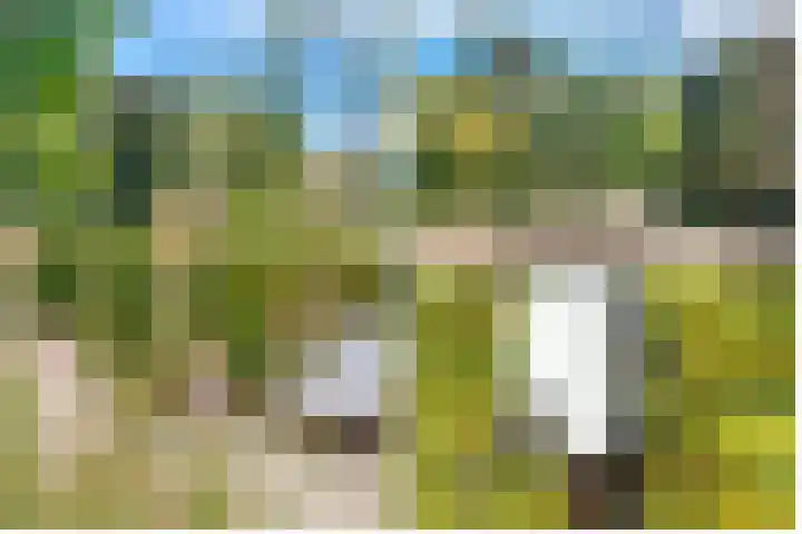 Julianaweg 34 Doorn thumbnail 6