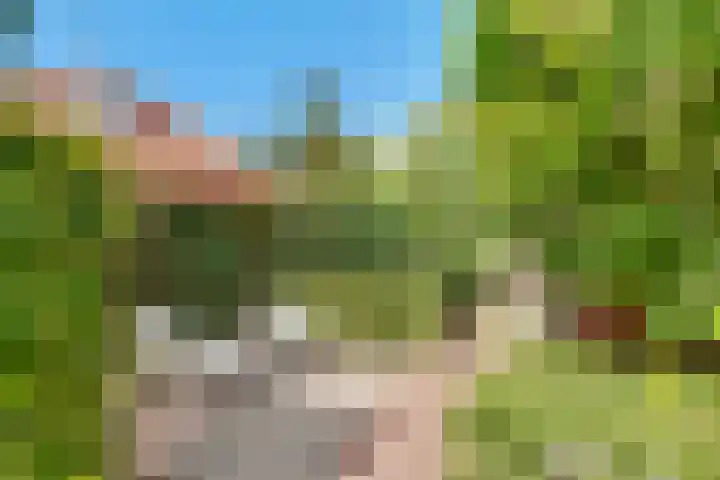 Julianaweg 34 Doorn thumbnail 9