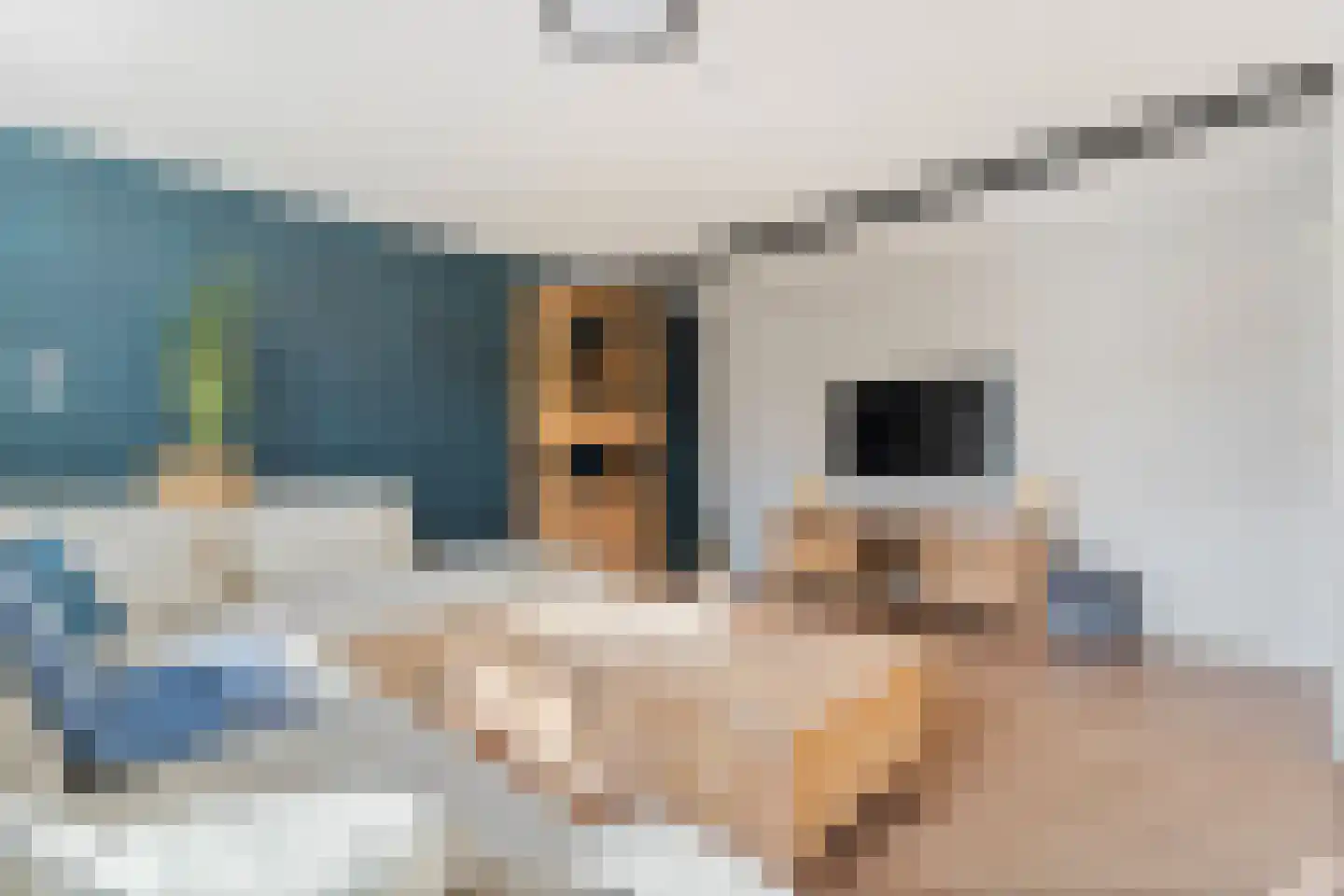 Julianaweg 35 Melissant thumbnail 18