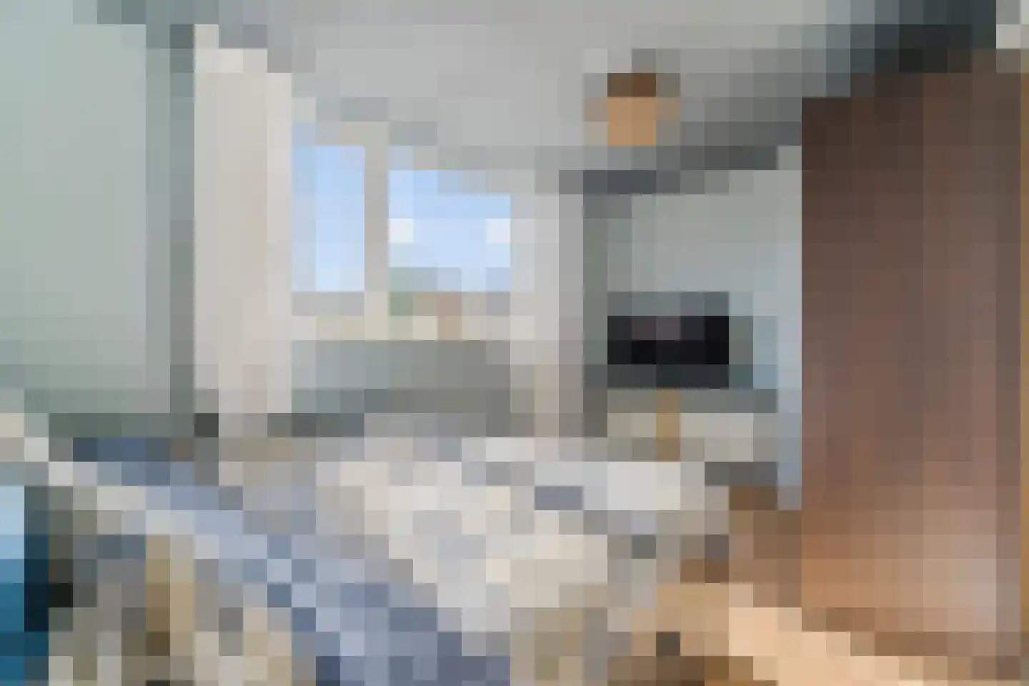 Julianaweg 35 Melissant thumbnail 25