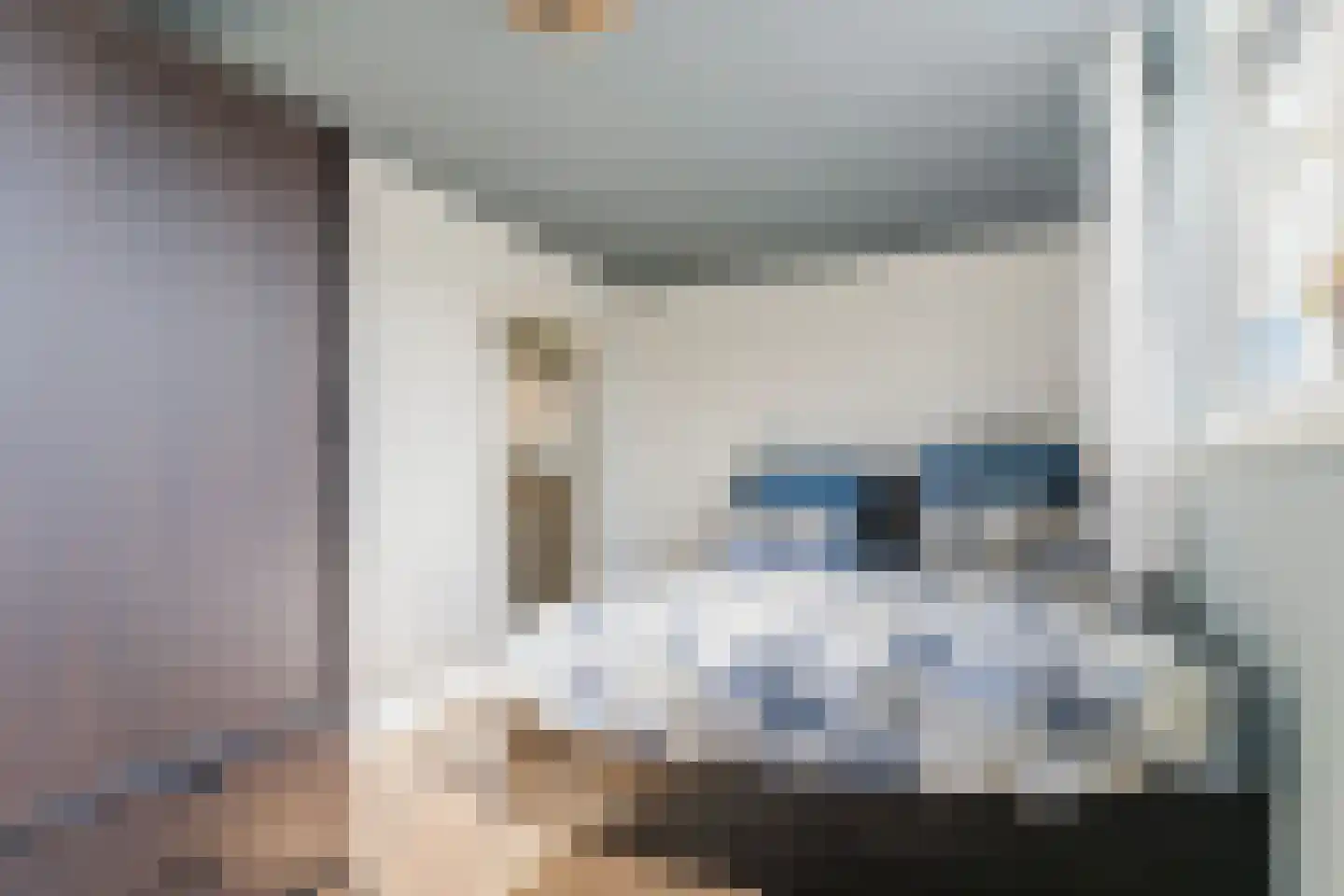 Julianaweg 35 Melissant thumbnail 26