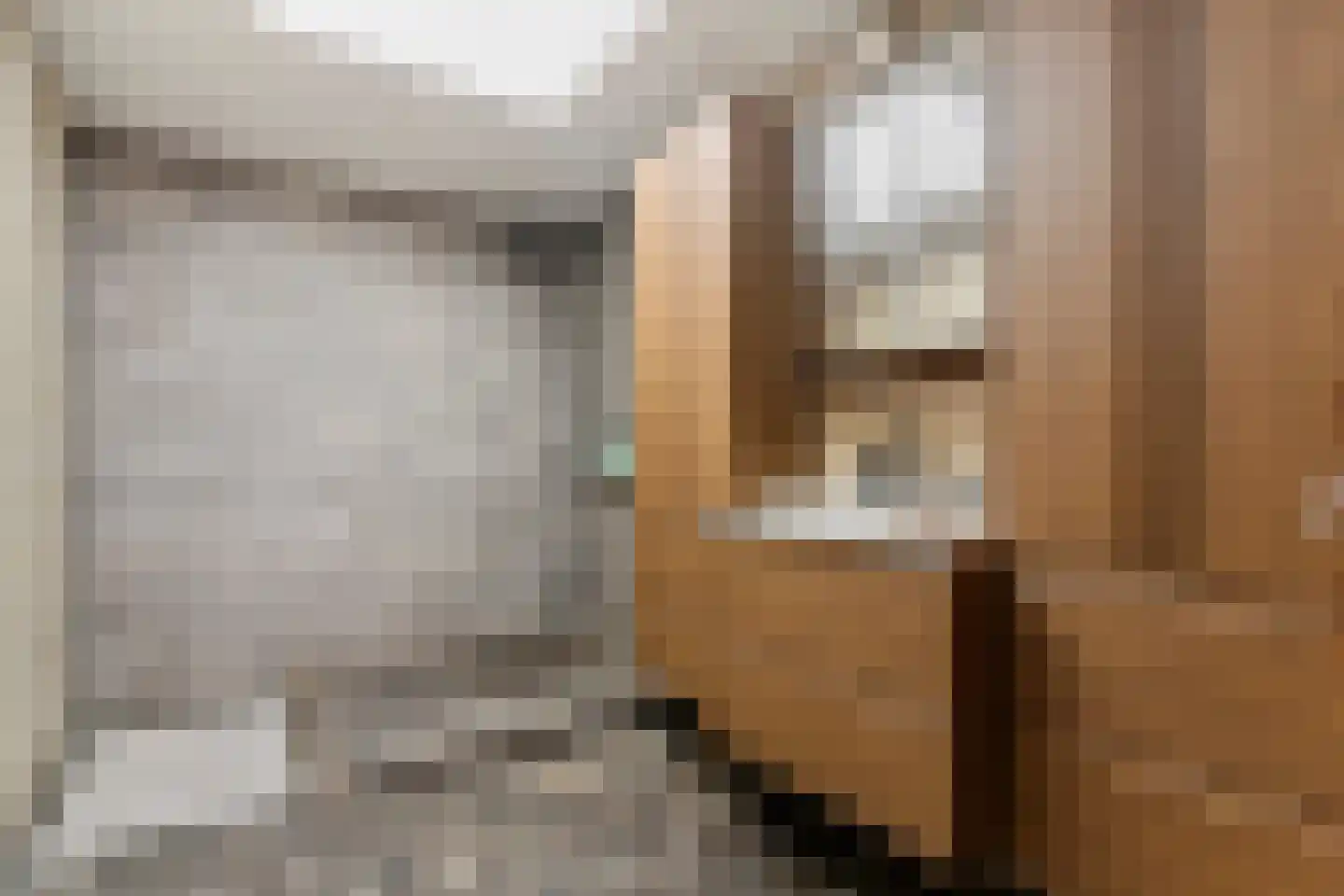 Julianaweg 35 Melissant thumbnail 6