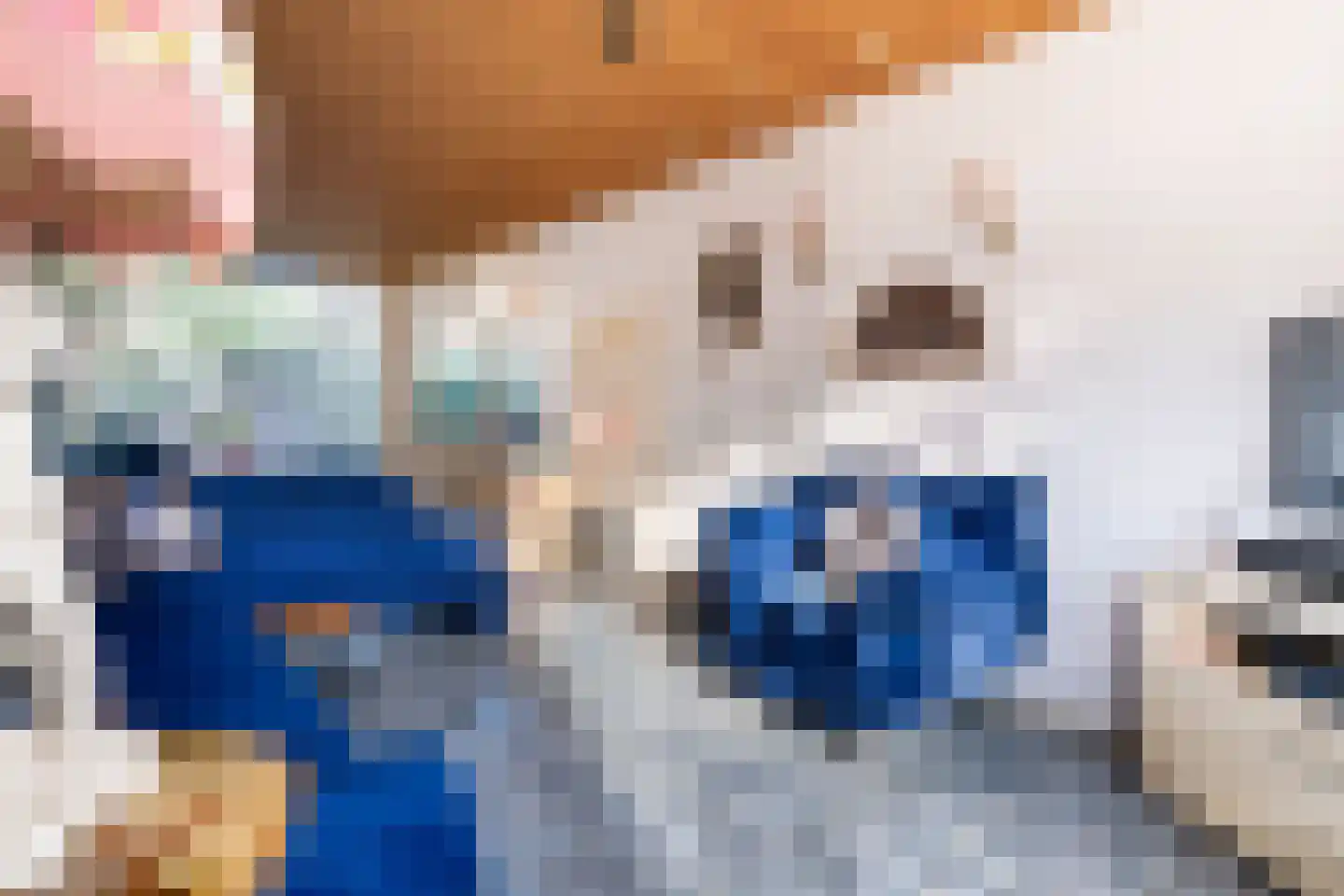 Julianaweg 355 Utrecht thumbnail 11