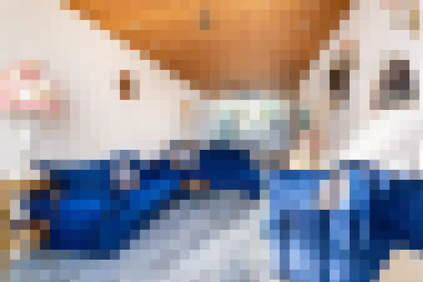 Julianaweg 355 Utrecht thumbnail 12