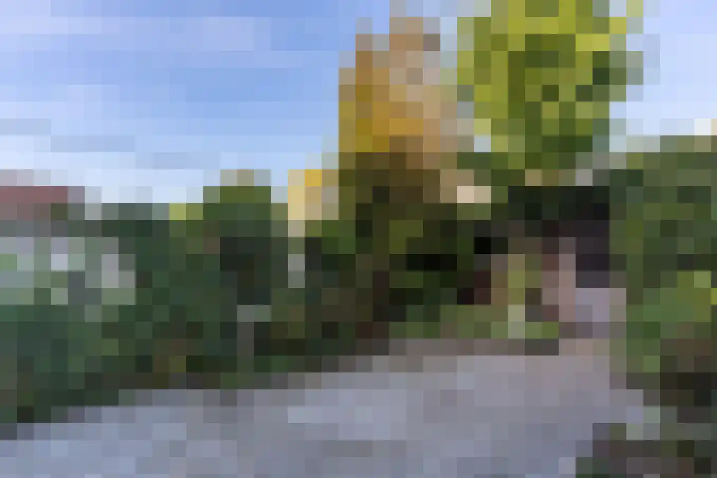 Julianaweg 355 Utrecht thumbnail 16