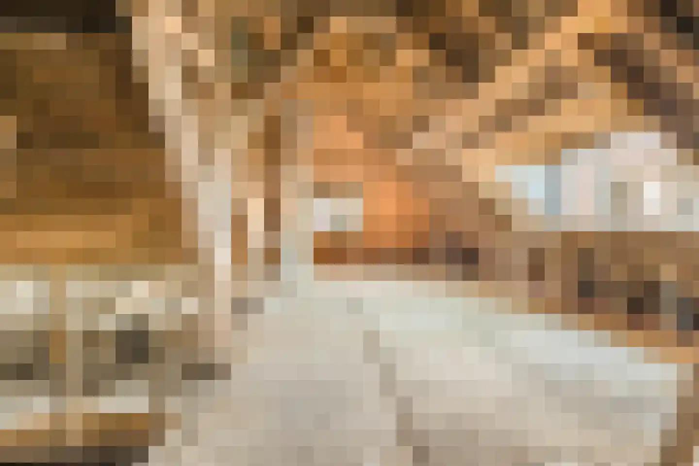 Julianaweg 36 Akersloot thumbnail 7