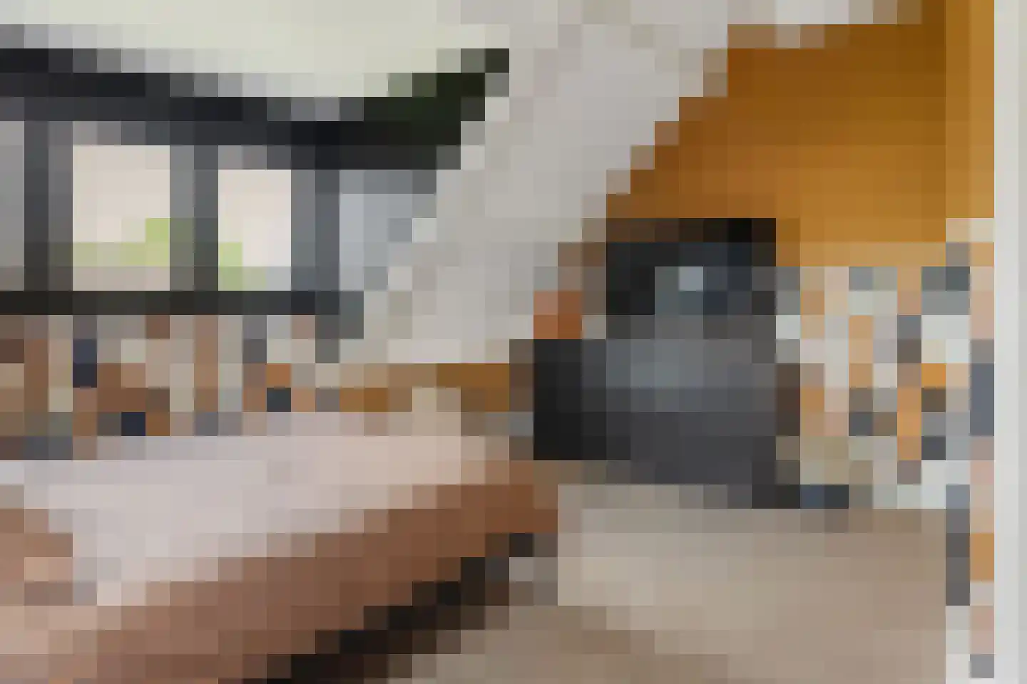 Julianaweg 37 Nieuwegein thumbnail 29