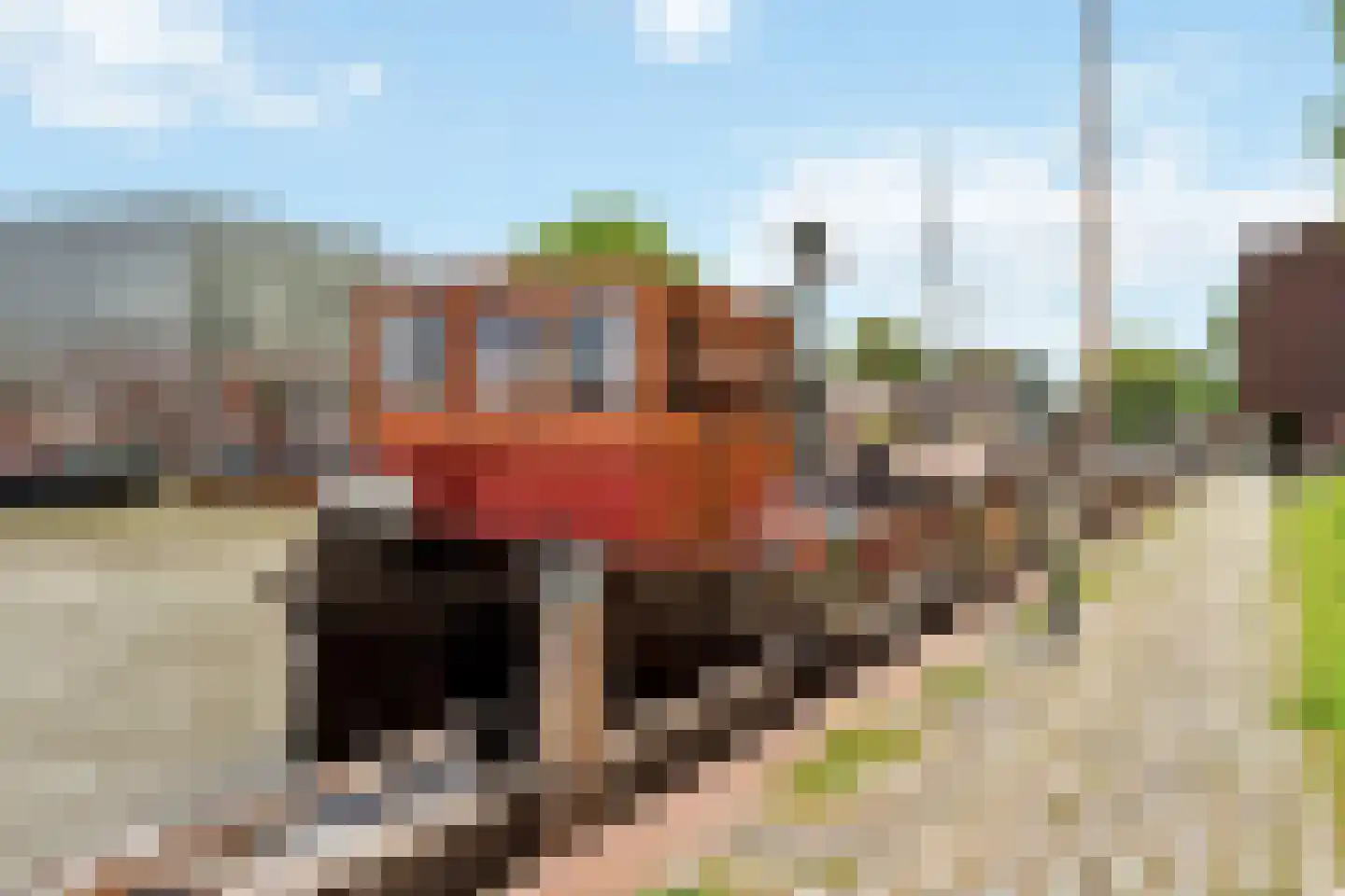 Julianaweg 37 Nieuwegein thumbnail 44