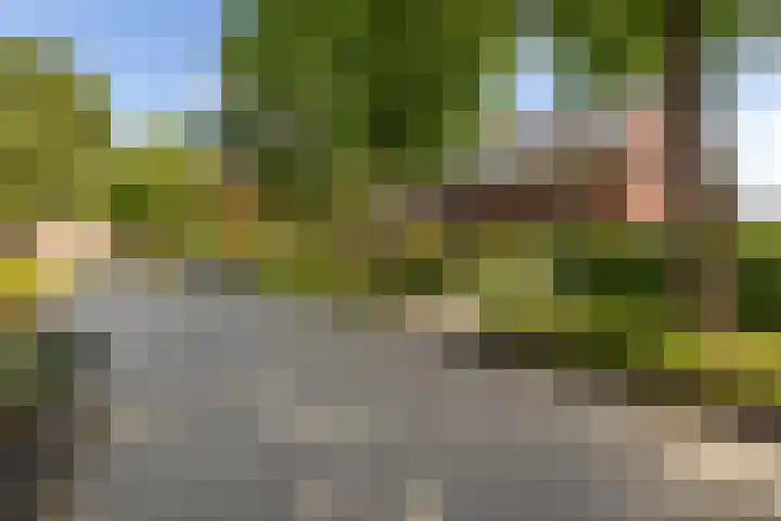 Julianaweg 4 Appingedam thumbnail 43