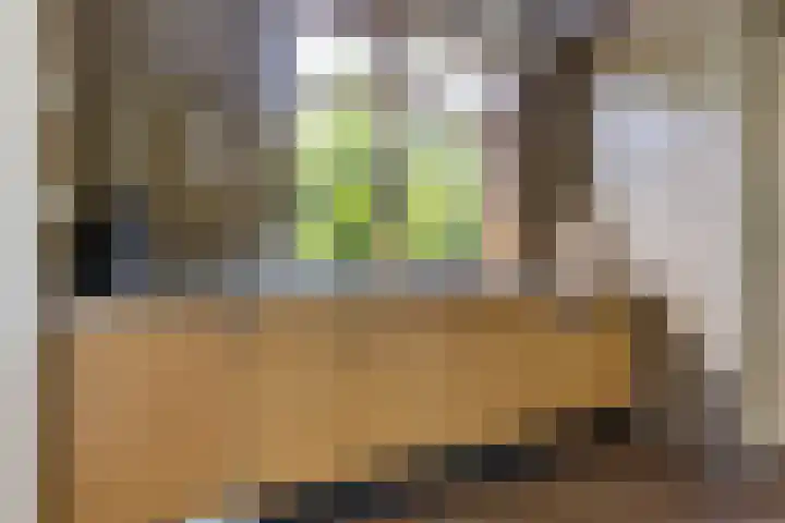 Julianaweg 4 Appingedam thumbnail 5