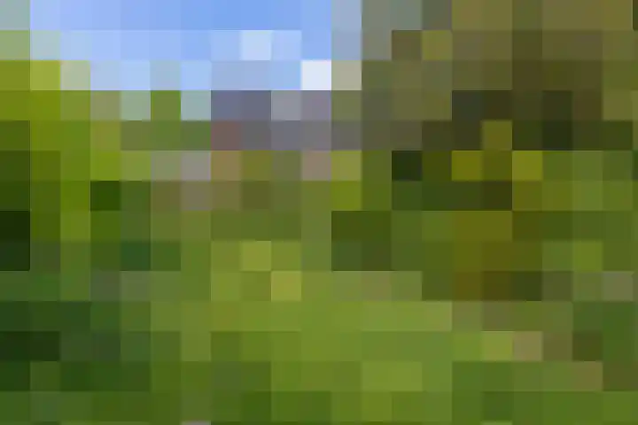 Julianaweg 4 Appingedam thumbnail 51