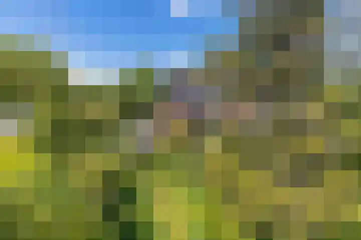 Julianaweg 4 Appingedam thumbnail 52