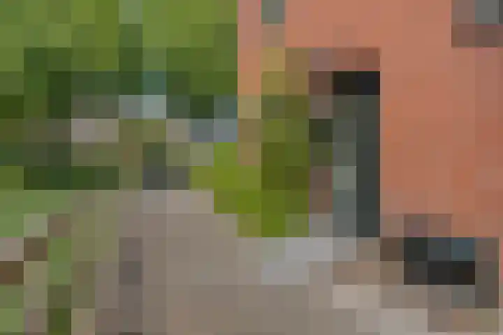 Julianaweg 4 Appingedam thumbnail 7