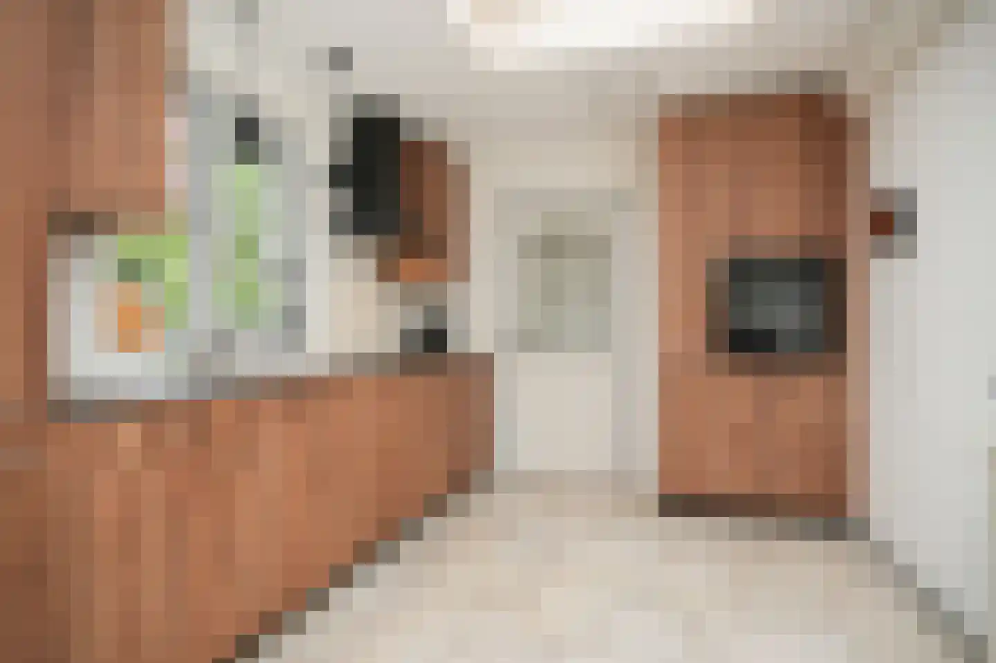 Julianaweg 4 Rossum thumbnail 17