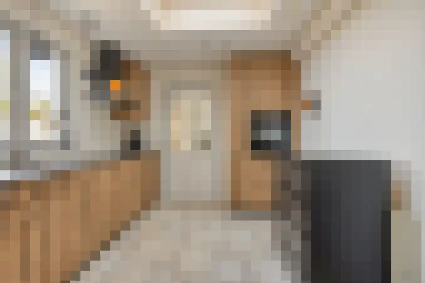 Julianaweg 4 Rossum thumbnail 18