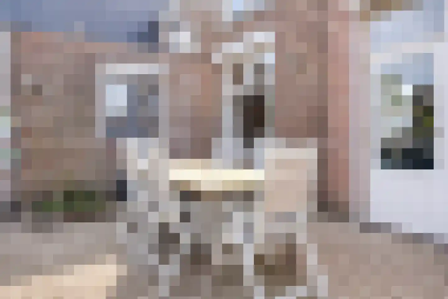 Julianaweg 4 Rossum thumbnail 36