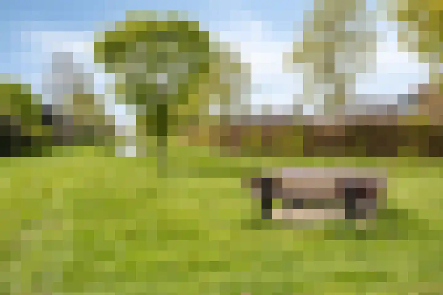 Julianaweg 4 Rossum thumbnail 43