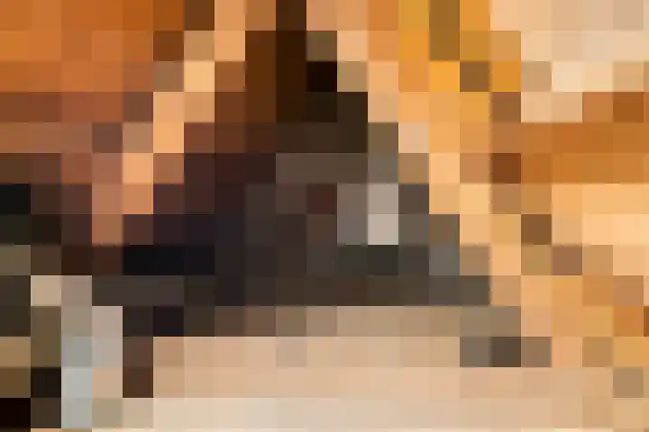 Julianaweg 4 Volendam thumbnail 22