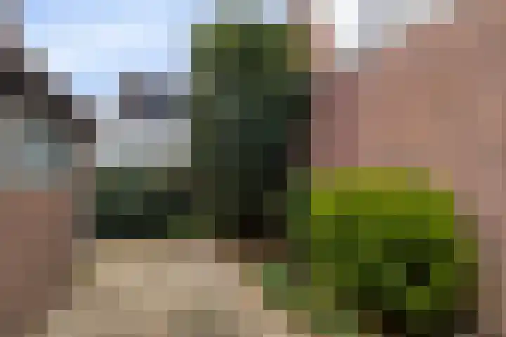 Julianaweg 4 Volendam thumbnail 23
