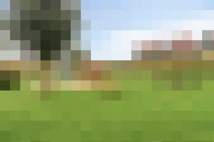 Julianaweg 4 Volendam thumbnail 28
