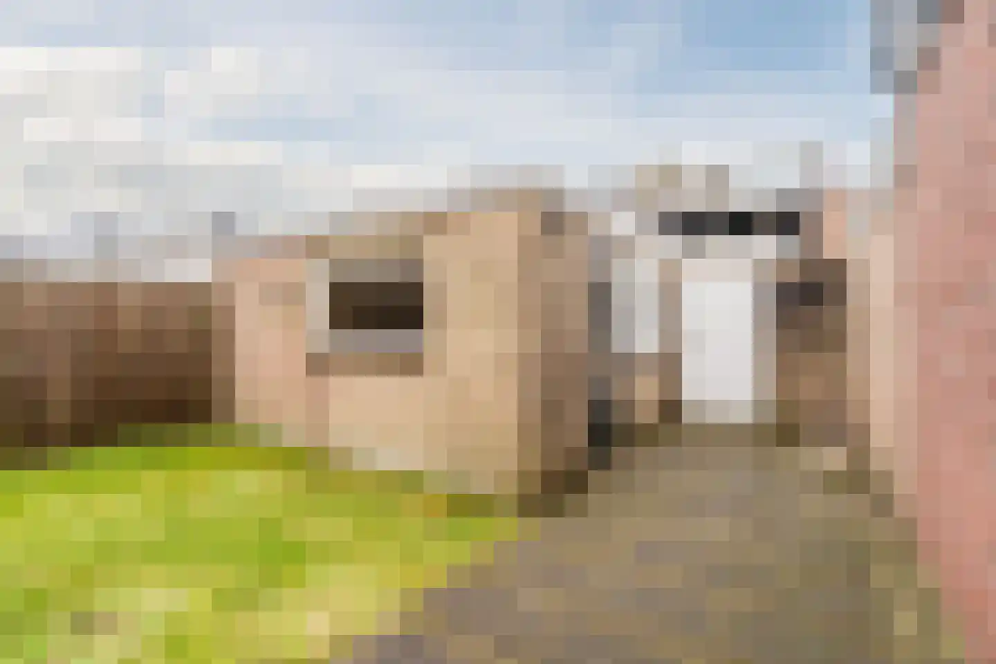 Julianaweg 40 Egmond aan den Hoef thumbnail 49