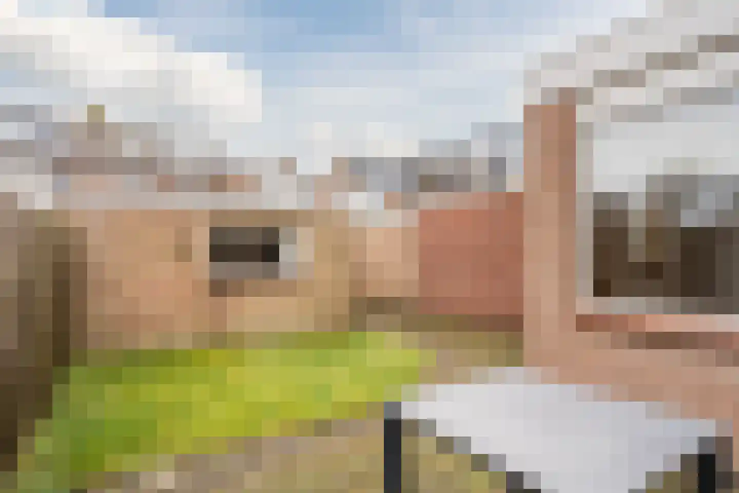 Julianaweg 40 Egmond aan den Hoef thumbnail 50