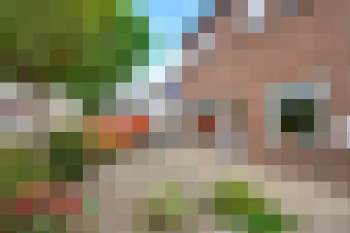 Julianaweg 40 Melissant thumbnail 10