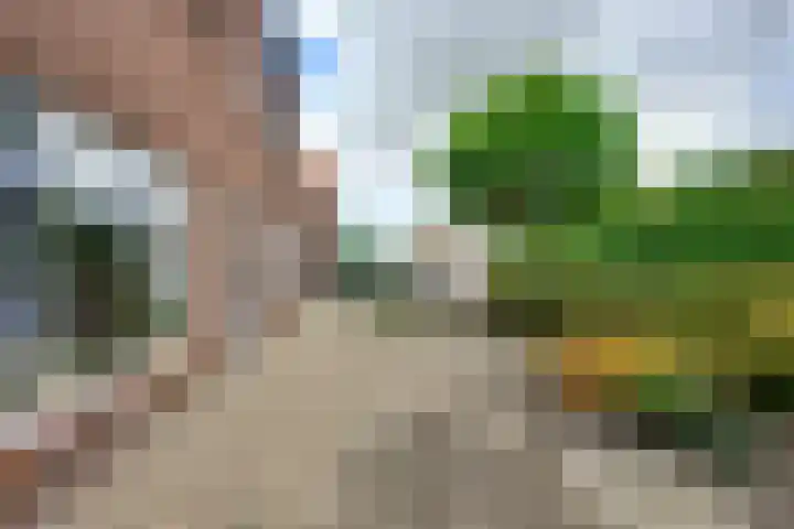 Julianaweg 40 Melissant thumbnail 11