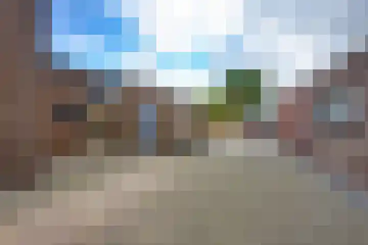 Julianaweg 40 Melissant thumbnail 13