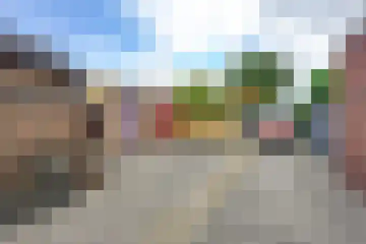 Julianaweg 40 Melissant thumbnail 14
