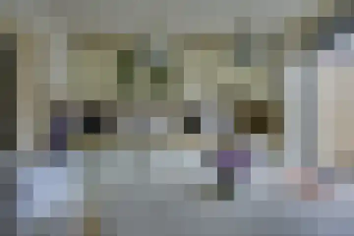 Julianaweg 40 Melissant thumbnail 22