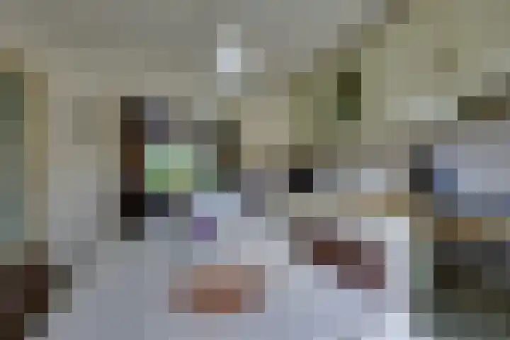 Julianaweg 40 Melissant thumbnail 24