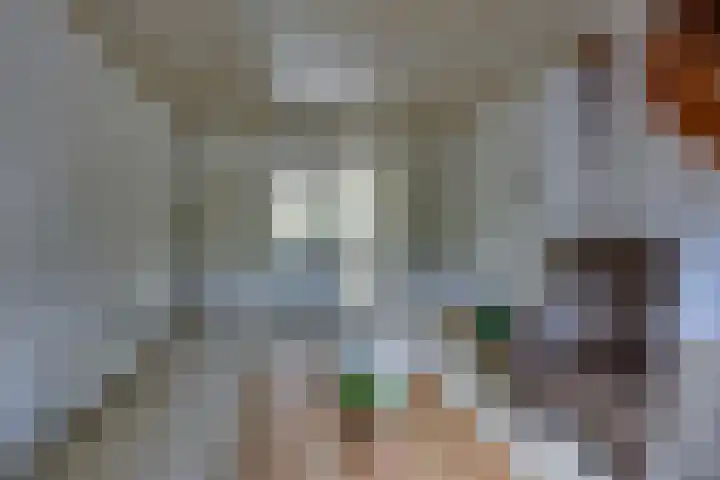 Julianaweg 40 Melissant thumbnail 28