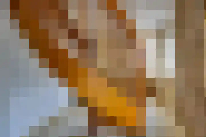 Julianaweg 40 Melissant thumbnail 29