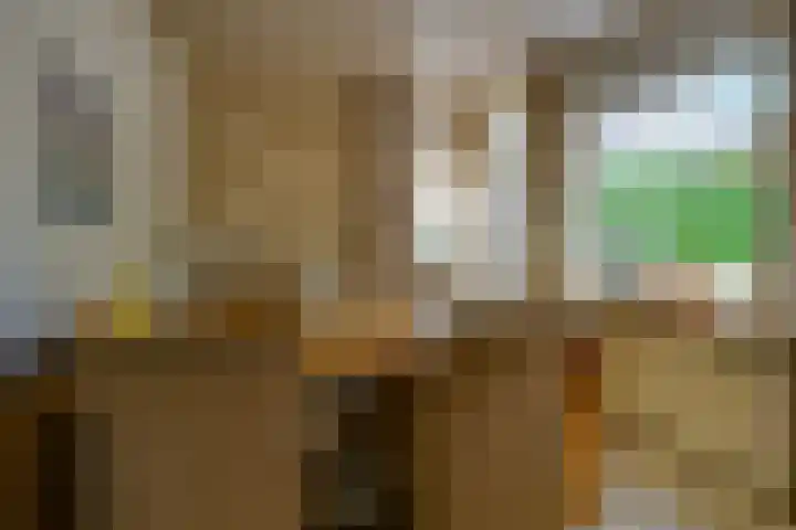 Julianaweg 40 Melissant thumbnail 30
