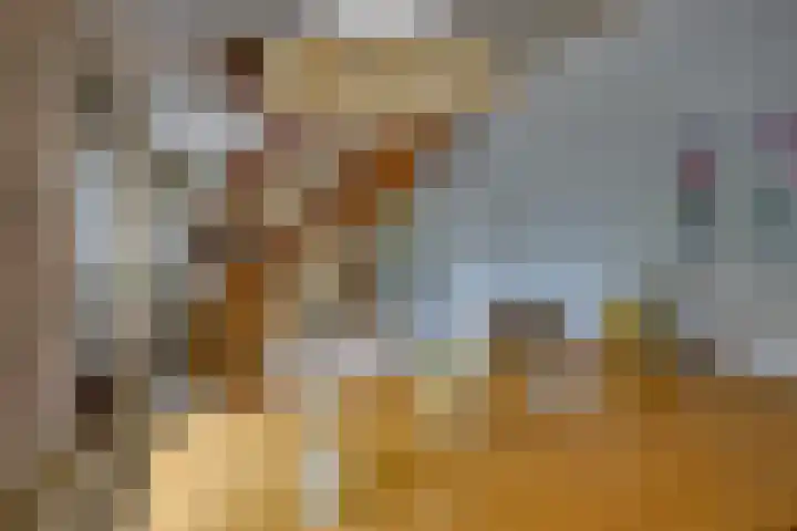 Julianaweg 40 Melissant thumbnail 31