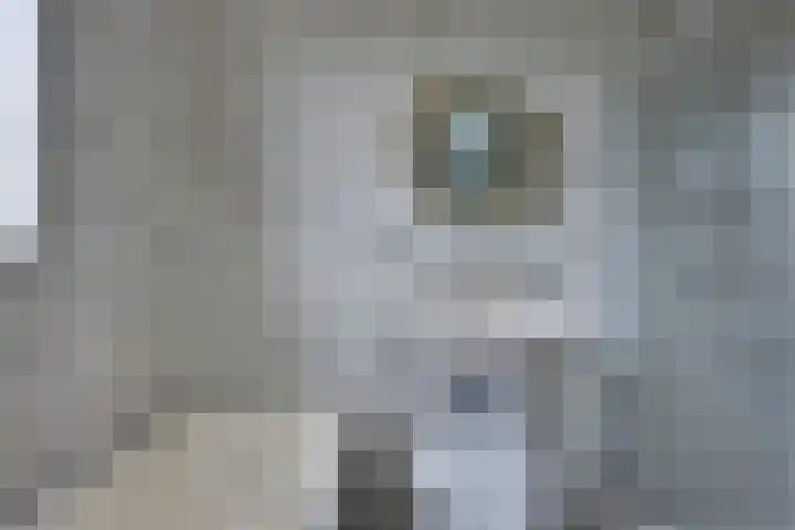 Julianaweg 40 Melissant thumbnail 32