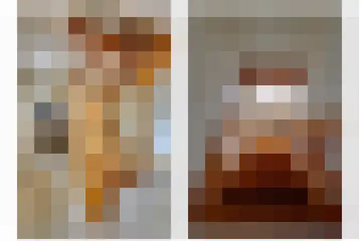 Julianaweg 40 Melissant thumbnail 36