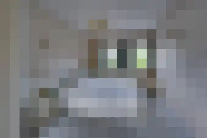 Julianaweg 40 Melissant thumbnail 4