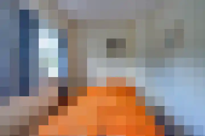 Julianaweg 40 Melissant thumbnail 40