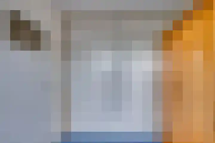 Julianaweg 40 Melissant thumbnail 43