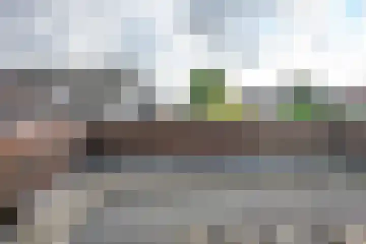 Julianaweg 40 Melissant thumbnail 44