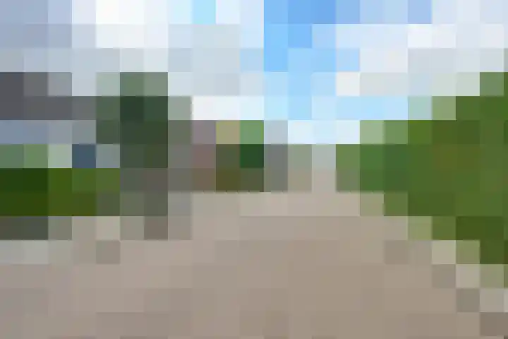 Julianaweg 40 Melissant thumbnail 5