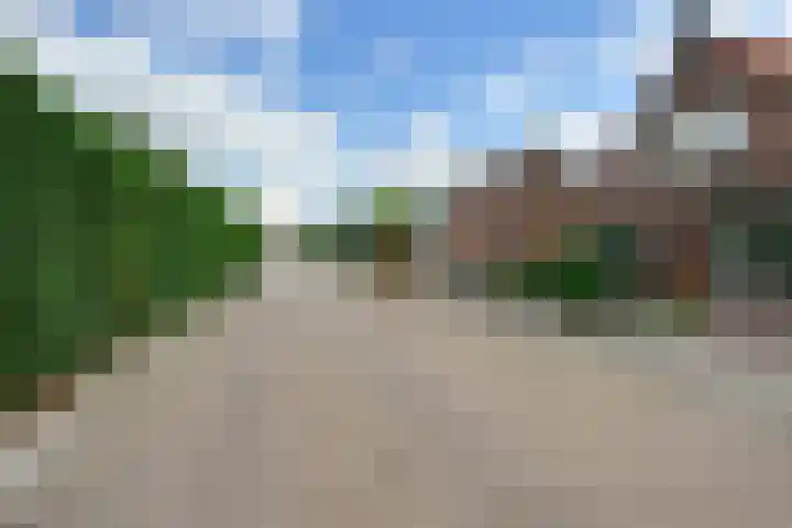 Julianaweg 40 Melissant thumbnail 6