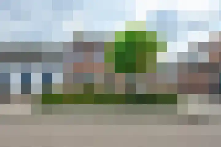 Julianaweg 40 Melissant thumbnail 8