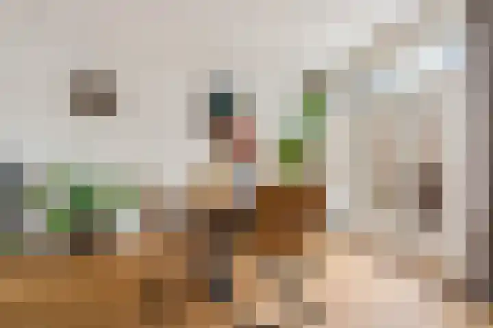 Julianaweg 41 Utrecht thumbnail 11