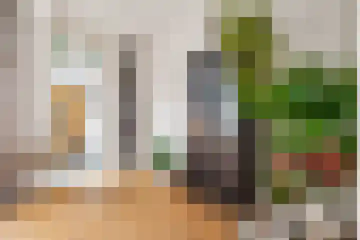 Julianaweg 41 Utrecht thumbnail 16