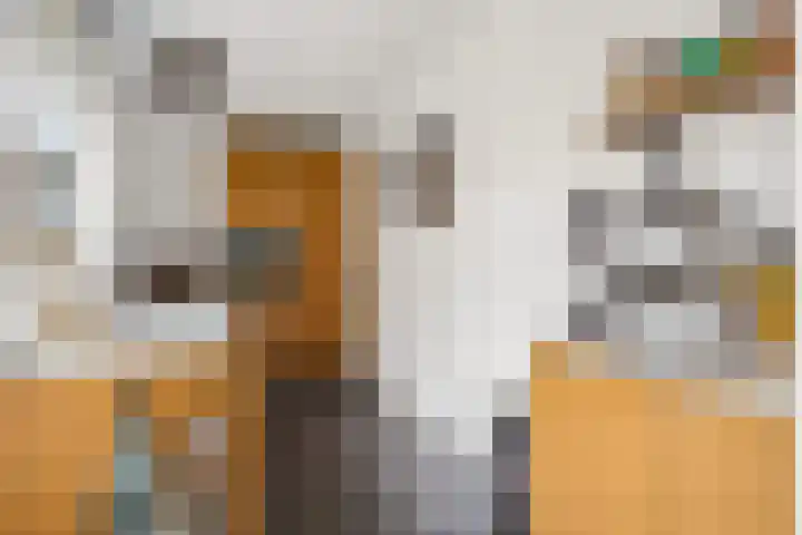 Julianaweg 41 Utrecht thumbnail 17