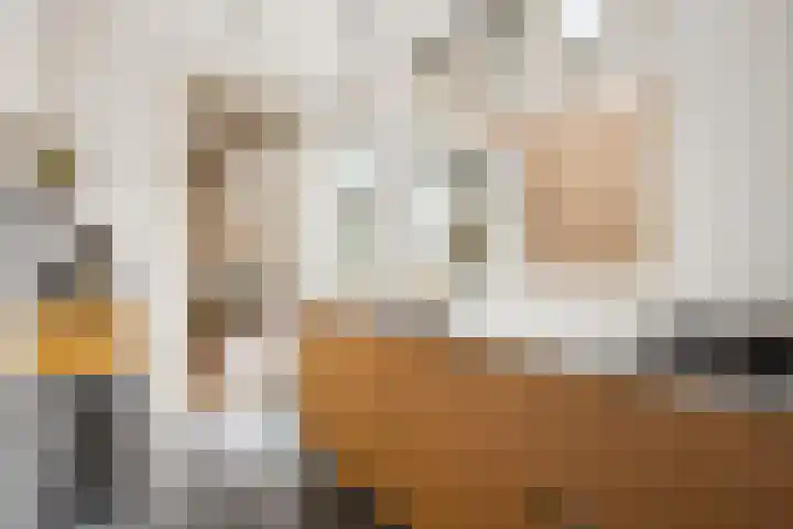 Julianaweg 41 Utrecht thumbnail 19