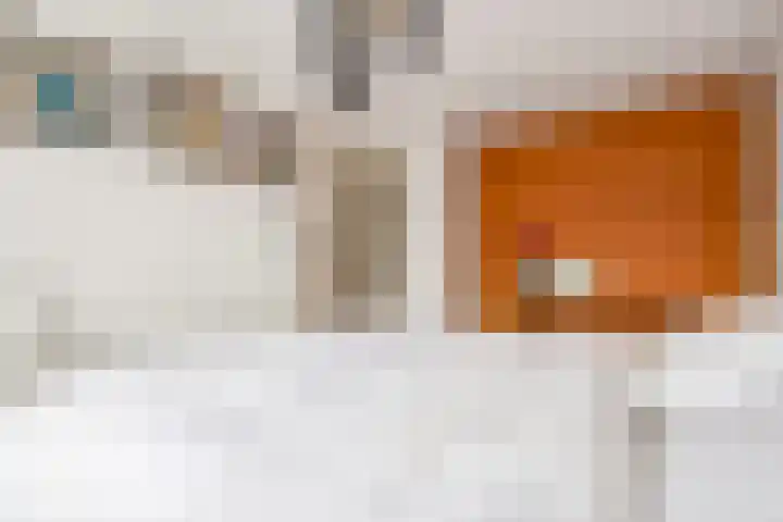 Julianaweg 41 Utrecht thumbnail 24